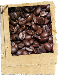 Café Expresso