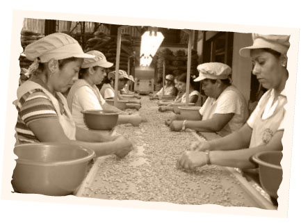 Historia de Flor de Santos